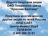 Покупаем акции ОАО Красная Балтика по всей России